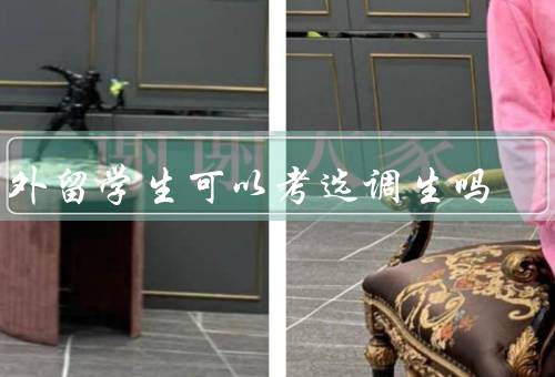 国外留学生可以考选调生吗