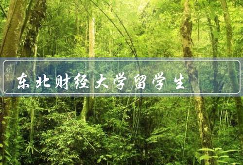 东北财经大学留学生，数量／支持／活动