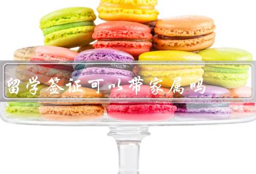 留学签证可以带家属吗（相关政策和要求／家属可享受的福利）