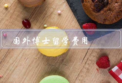 国外博士留学费用（组成／筹备／管理）