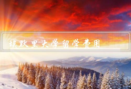 埃默里大学留学费用，留学费用组成／学费情况／奖学金和助学金