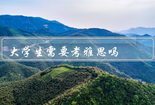 大学生需要考雅思吗，大学对雅思要求的影响／提升综合能力