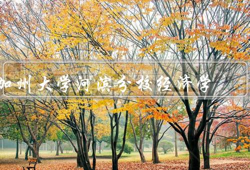 加州大学河滨分校经济学，学科概述、教学团队、研究成果