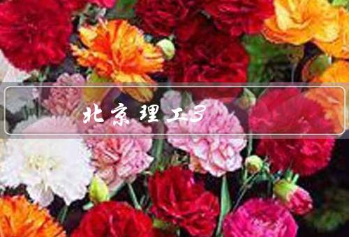 北京理工3+2留学专业分数线，确定／变化／意义