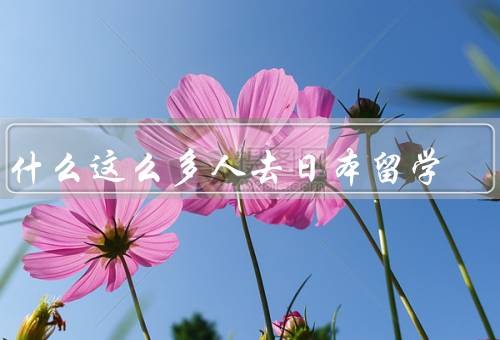 为什么这么多人去日本留学（高质量的教育资源、广阔的就业机会）