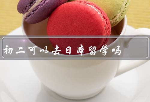 初二可以去日本留学吗，学习能力／成熟度／家庭支持
