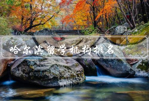 哈尔滨留学机构排名，概况、排名、选择合适