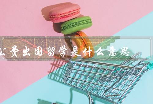 公费出国留学是什么意思（意义／好处／结论）