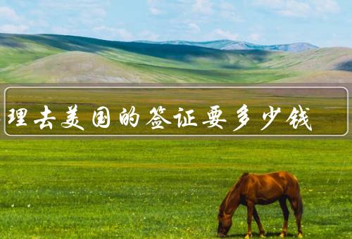 办理去美国的签证要多少钱，签证申请费／指纹费／其他费用