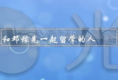 和邓稼先一起留学的人，雷蒙德·杨／高锟／刘宝瑞