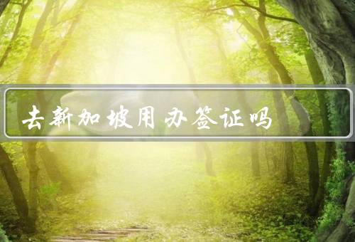 去新加坡用办签证吗，办理签证／签证申请材料／申请流程