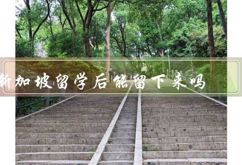 新加坡留学后能留下来吗（就业机会／签证政策／个人努力）