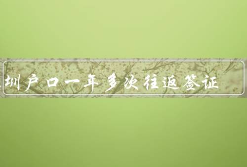 深圳户口一年多次往返香港签证（便利性／经济效益／人文交流）