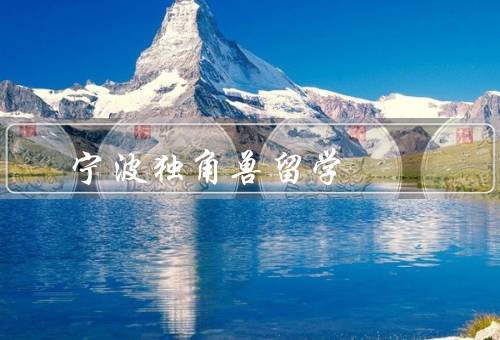 宁波独角兽留学（背景、特点、留学生收获）