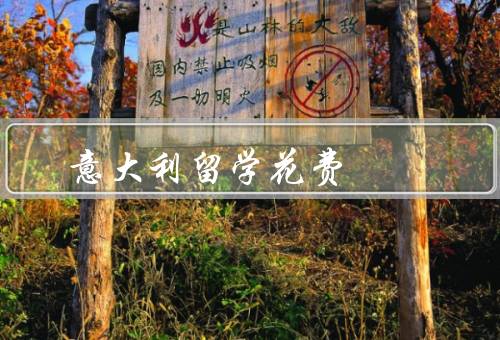 意大利留学花费，意大利留学的学费、生活费用、其他费用