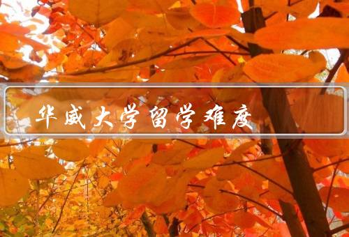 华威大学留学难度，申请条件、语言要求、竞争激烈程度