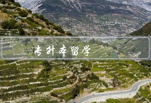 俄罗斯专升本留学，留学费用／学习环境／文化交流