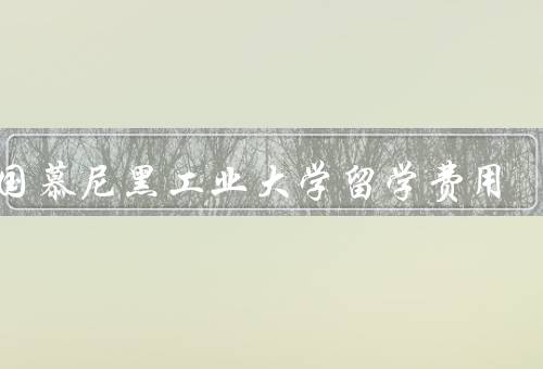 德国慕尼黑工业大学留学费用（留学费用、生活费用、奖学金和助学金）