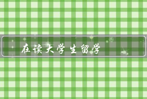 在读大学生留学（动机／挑战／收获）