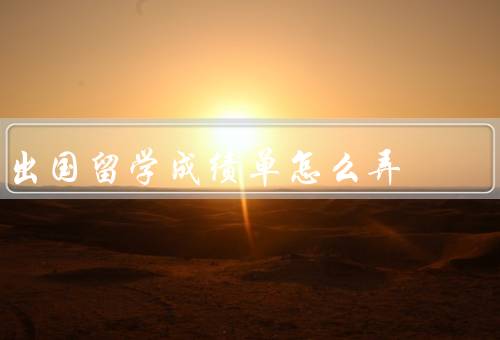 出国留学成绩单怎么弄，准备／翻译和公证／递交