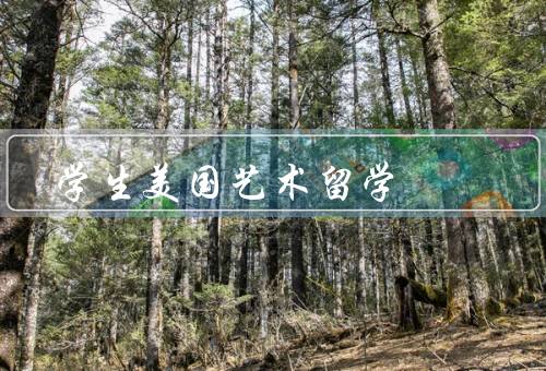 学生美国艺术留学，艺术专业选择／申请流程和条件／留学生活和经验