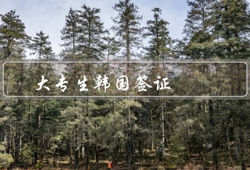 大专生韩国签证，申请材料／签证类型／申请流程