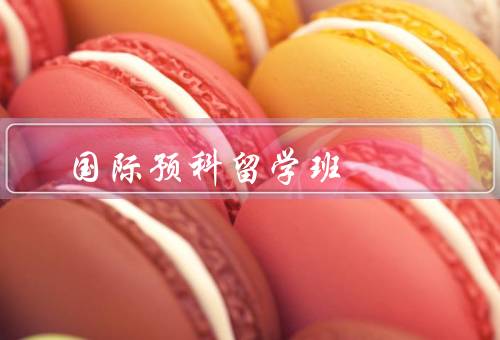 国际预科留学班