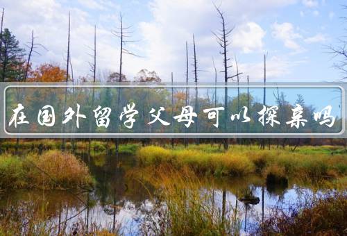 孩子在国外留学父母可以探亲吗