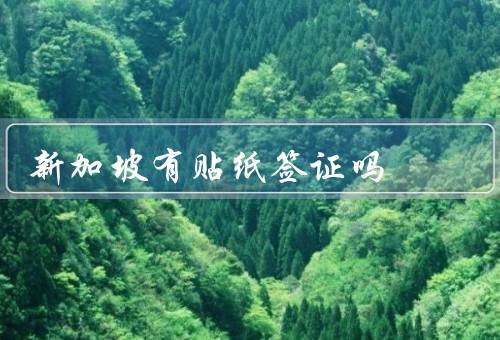 新加坡有贴纸签证吗（新加坡贴纸签证的概述、适用于贴纸签证的国家）
