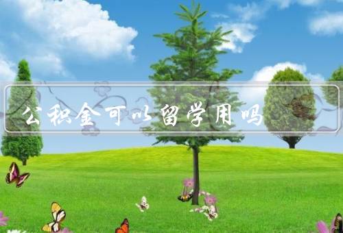 公积金可以留学用吗（基本概念／限制性／是否存在其他途径）