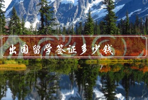 出国留学签证多少钱
