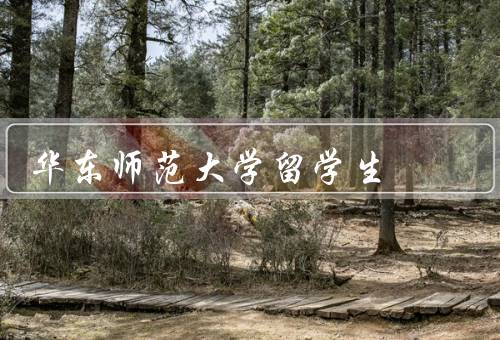 华东师范大学留学生（人数／支持和服务／生活和社交）
