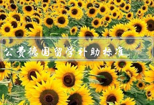 公费德国留学补助标准（种类、标准、申请途径）