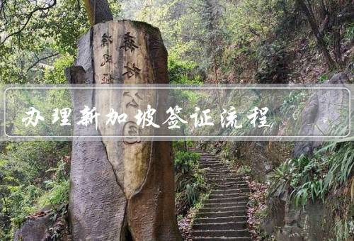 办理新加坡签证流程（填写签证申请表、准备所需材料、递交申请材料）