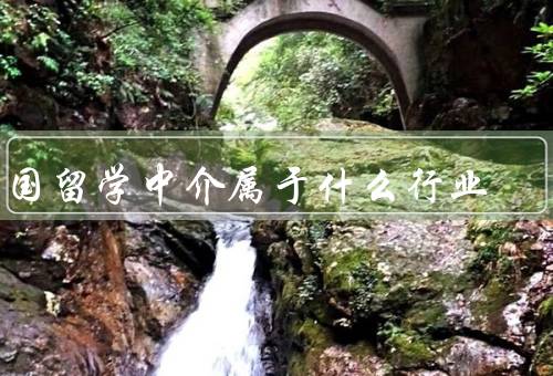 出国留学中介属于什么行业