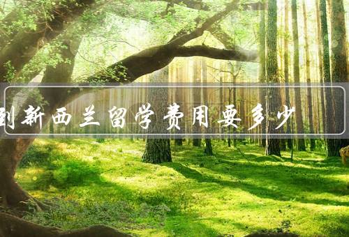 到新西兰留学费用要多少（留学签证费用、学费、生活费）