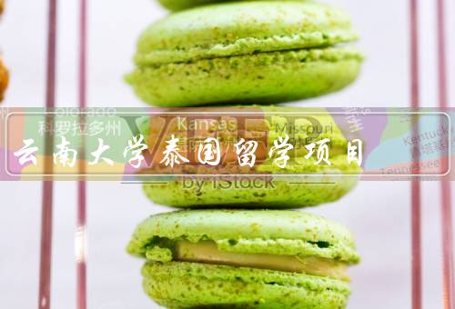 云南大学泰国留学项目，泰国留学背景／内容与特色／意义与影响