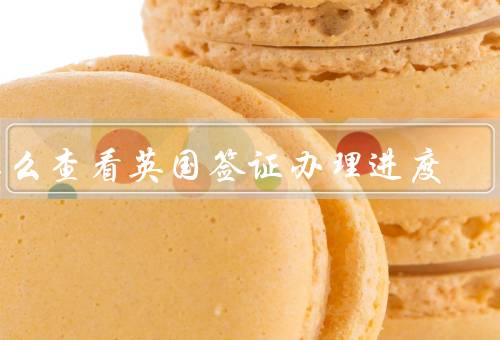 怎么查看英国签证办理进度（在线查询／拨打电话／邮件查询）