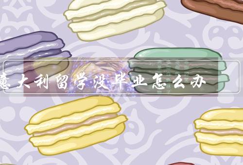 意大利留学没毕业怎么办