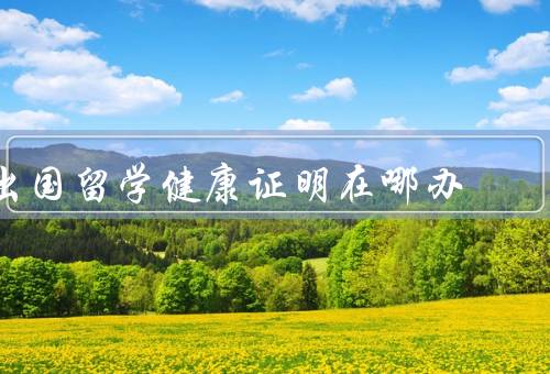 出国留学健康证明在哪办（学校医院／公立医院／专业机构）