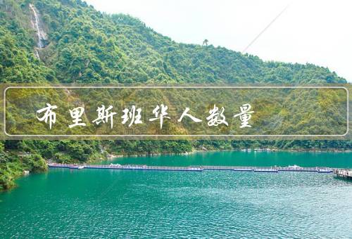 布里斯班华人数量，华人社区／教育／社团