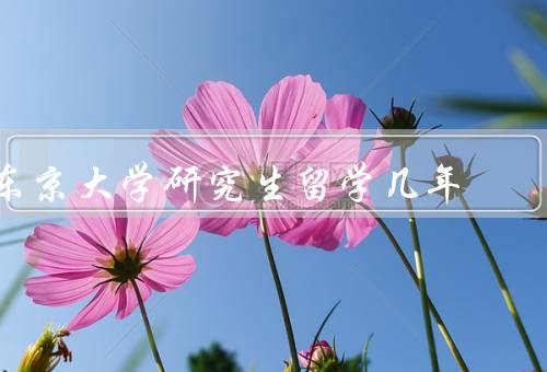 东京大学研究生留学几年，研究生阶段的学习／社交与文化体验