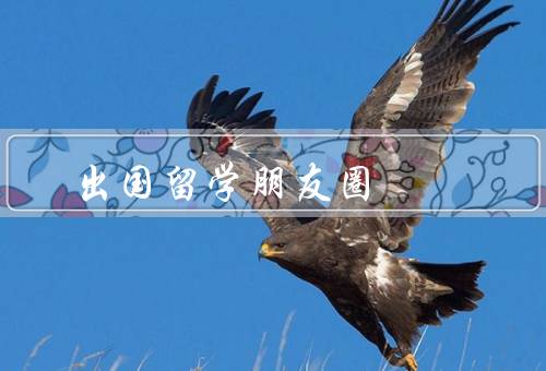 出国留学朋友圈（前的准备／生活的点滴／后的收获）