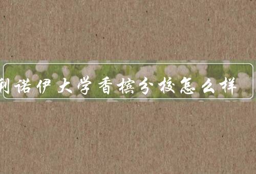 伊利诺伊大学香槟分校怎么样，学术氛围浓厚、丰富的课程选择