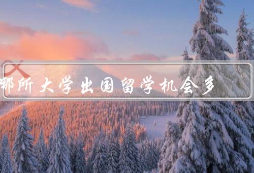哪所大学出国留学机会多（留学项目丰富、国际交流合作广泛）