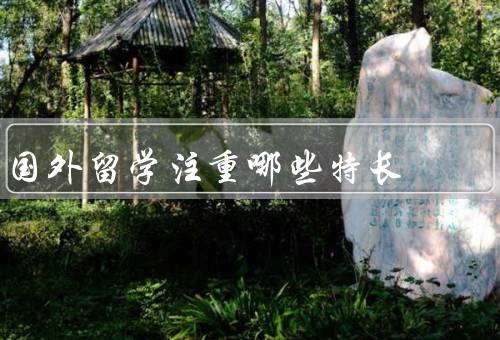 国外留学注重哪些特长（专业特长、领导能力、跨文化交流能力）