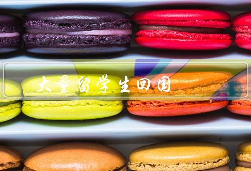 俄罗斯大量留学生回国（留学生安全问题／经济困境／学业进展）