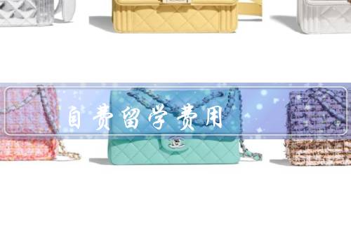 俄罗斯自费留学费用（留学费用构成、费用差异、节约留学费用的方法）