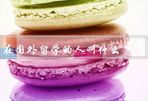 在国外留学的人叫什么，特点／挑战／留学经验收获