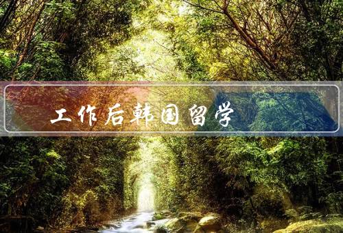 工作后韩国留学（个人发展、职业提升、文化交流）